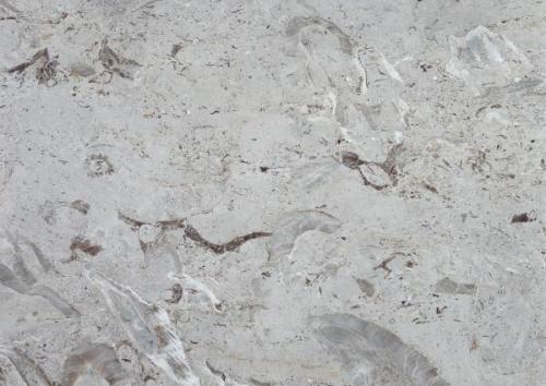 marble marble